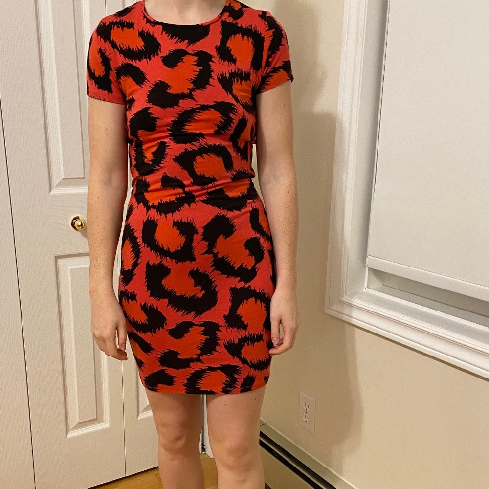 Topshop Leopard Print Cut-Out Back Dress (Size 8P)